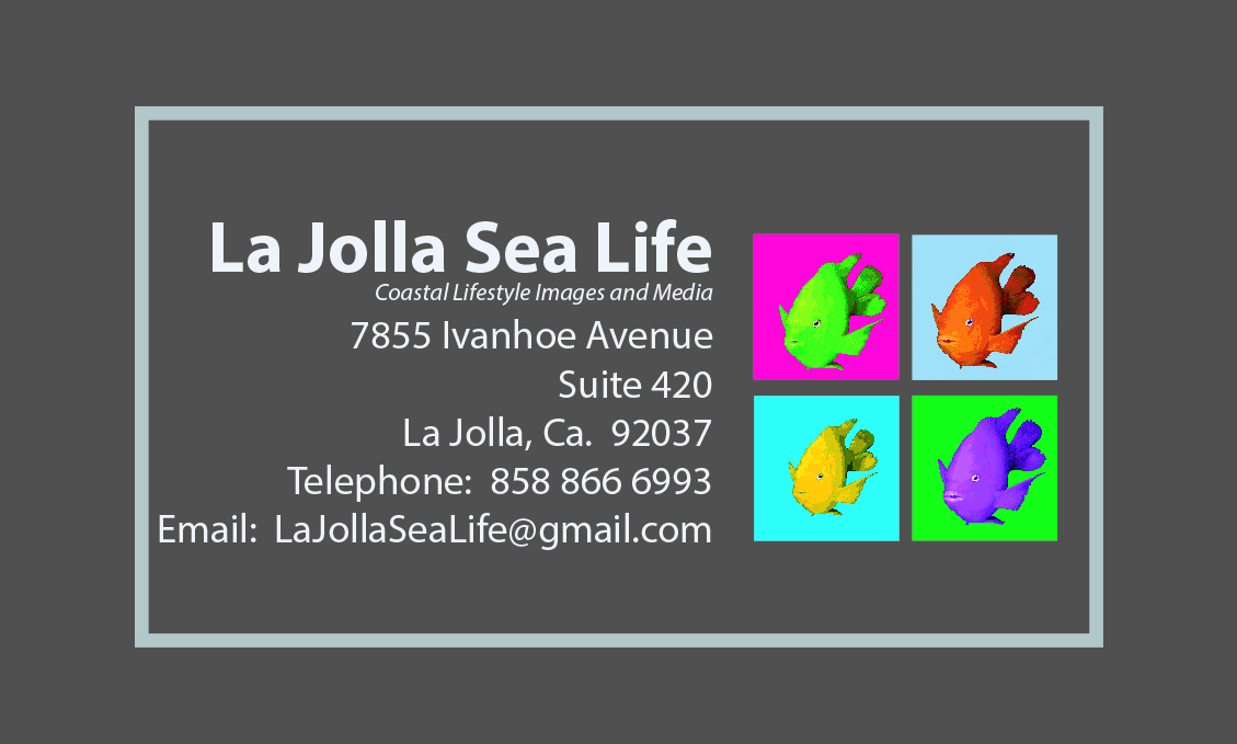 ljsl business card gray