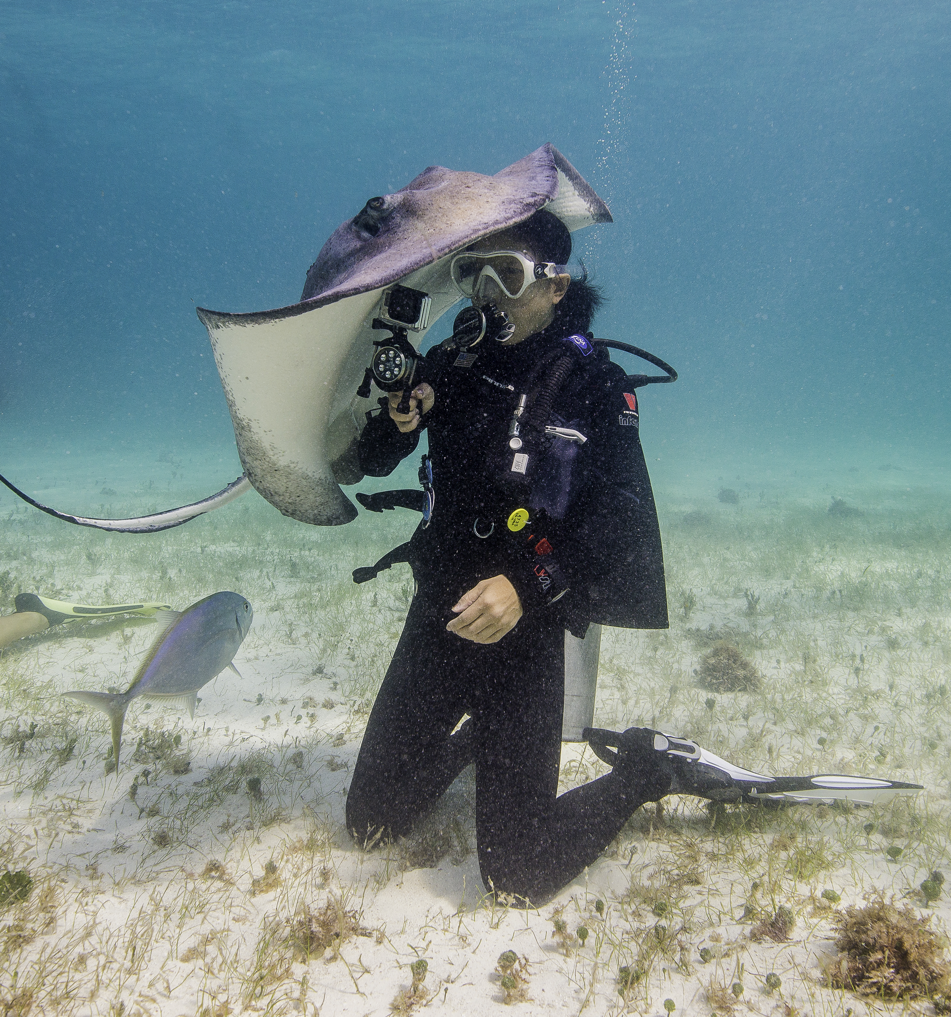 ruth-w-stingray-hat